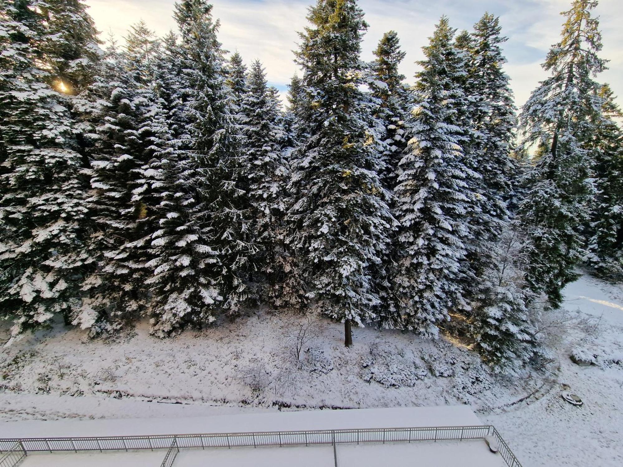 Flora Apartments Tmf Borovets Quarto foto