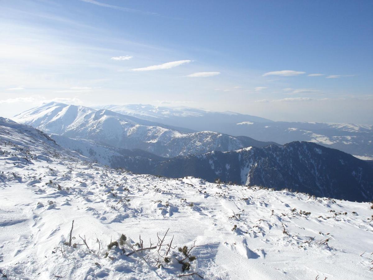 Flora Apartments Tmf Borovets Exterior foto
